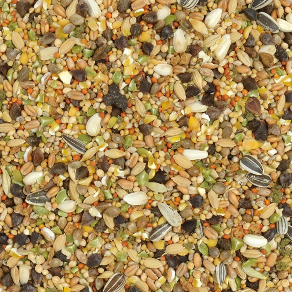 ナチュラルラックス ハムスター