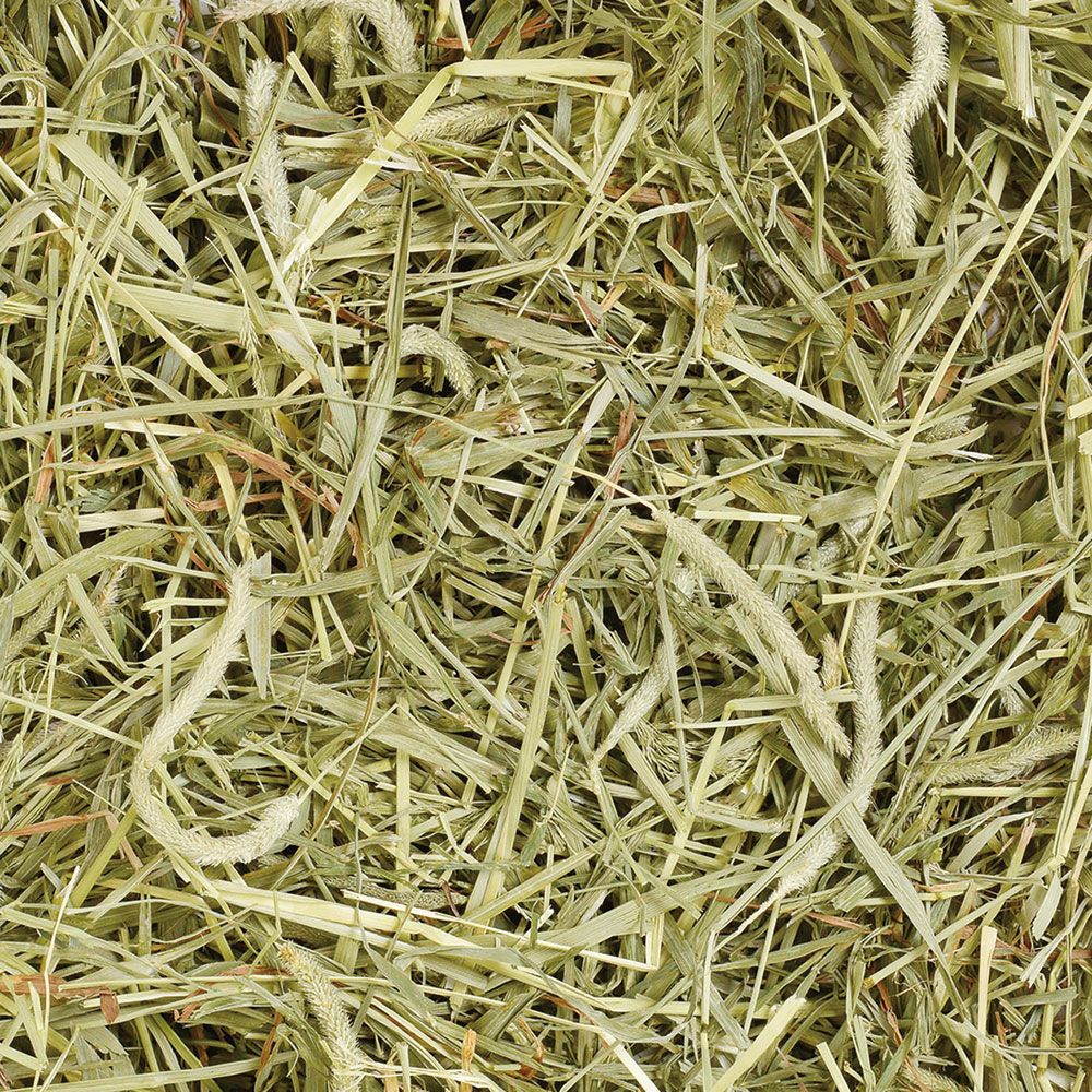 チモシーソフト