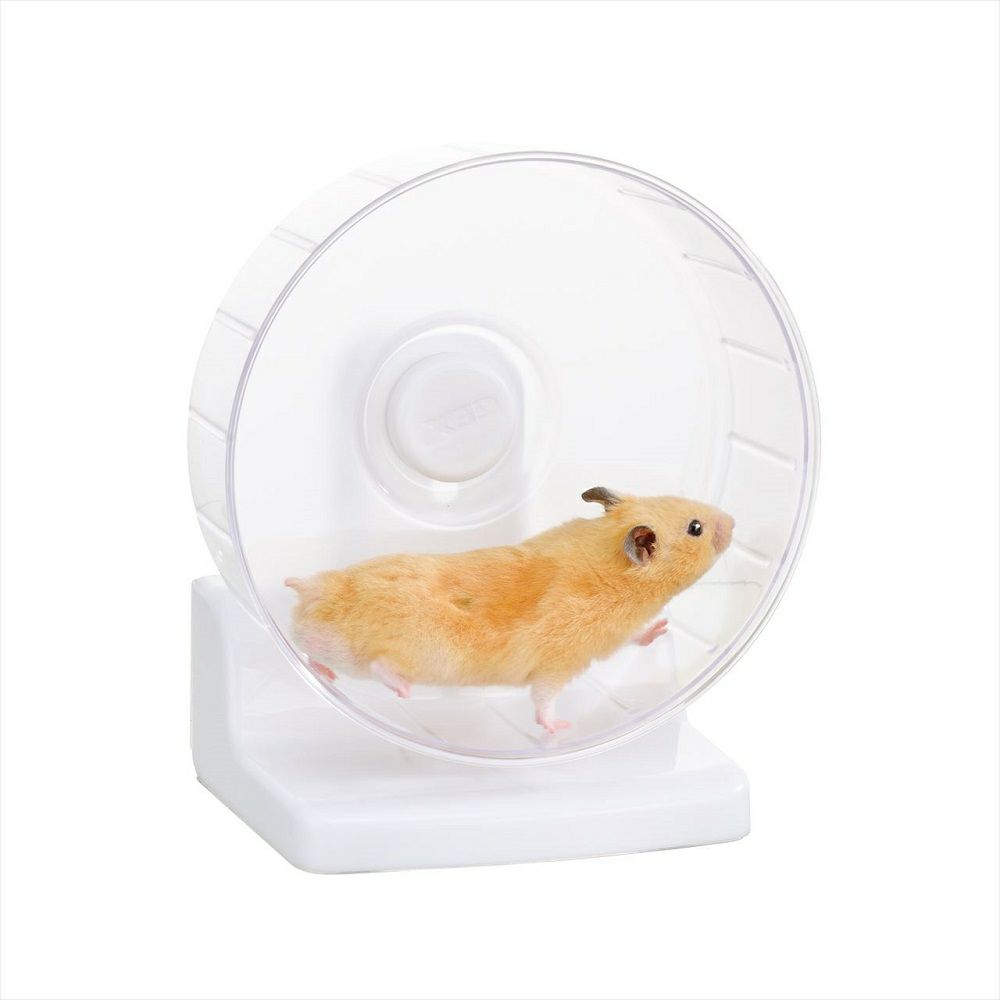 ジェックス ハーモニーホイール セーフティ＆サイレント DS21