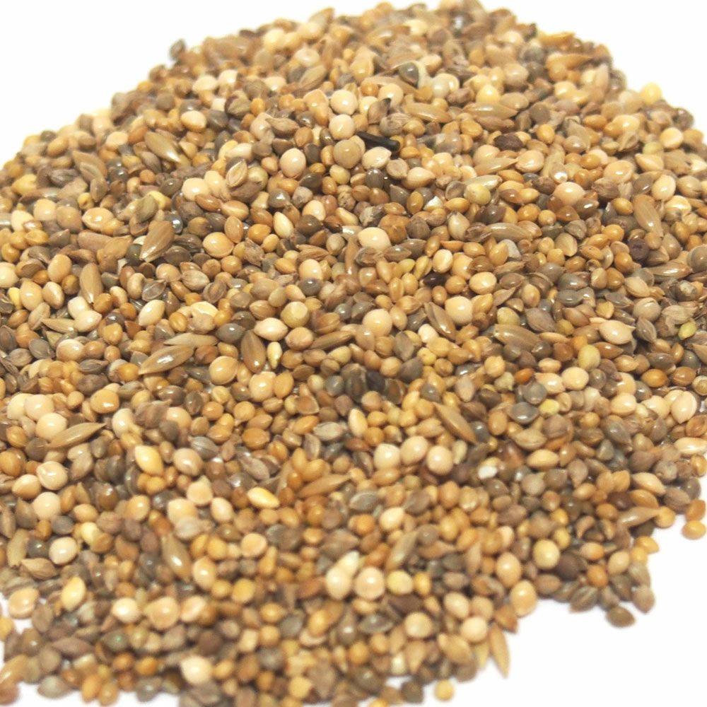 カスタムラックス ハムスターの自然食 ブレンドＦ