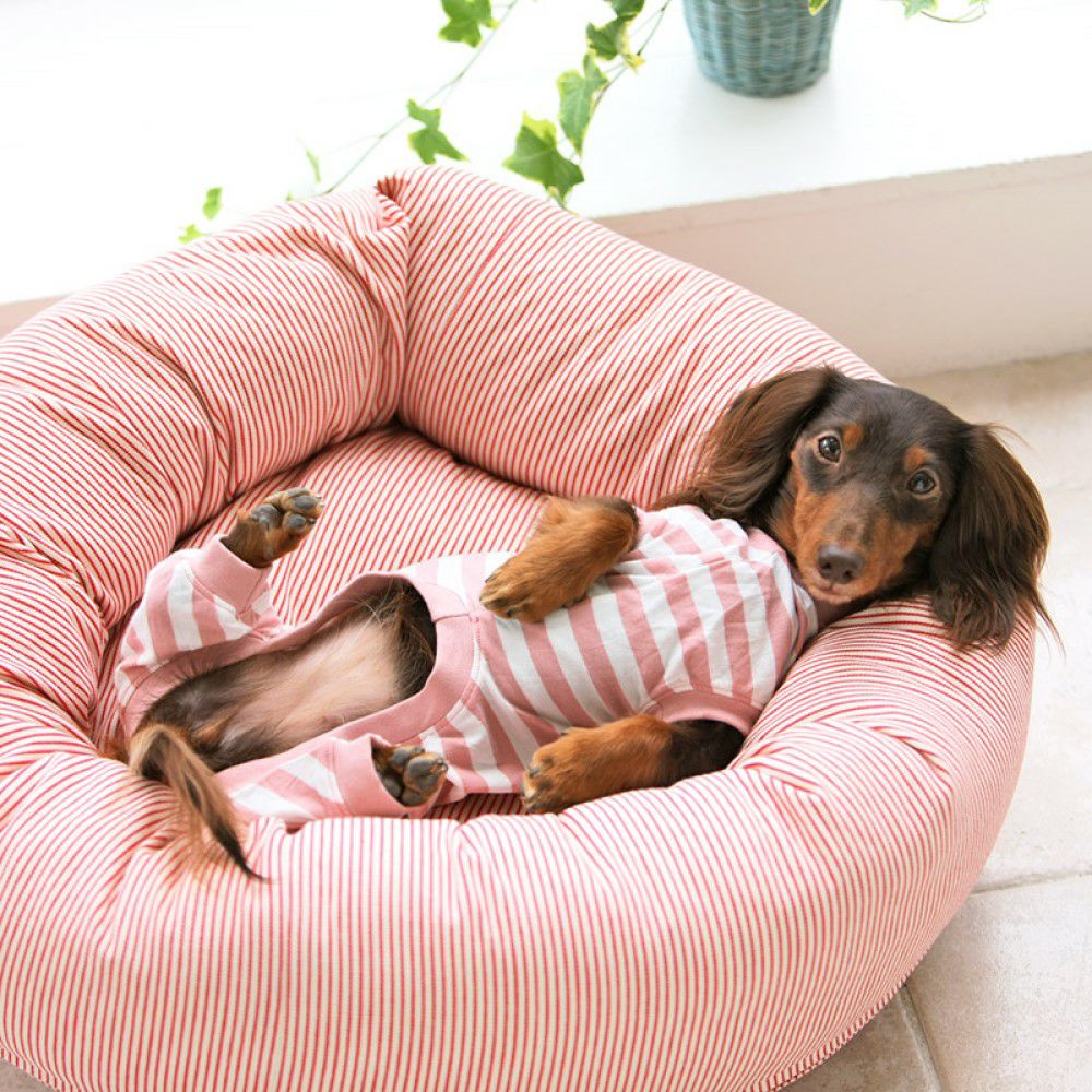 ハウス・ベッド | P2 ONLINE STORE