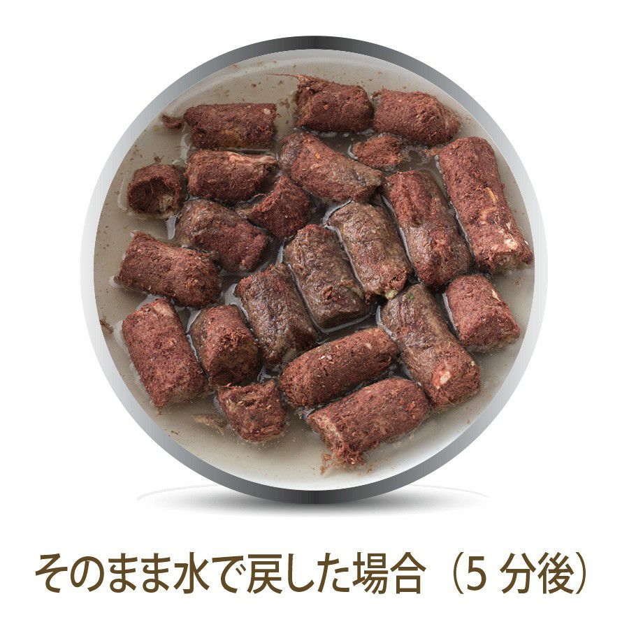 K9ナチュラル フリーズドライ ビーフ フィースト 100ｇ