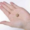 K9ナチュラル ラムトリーツ 50g