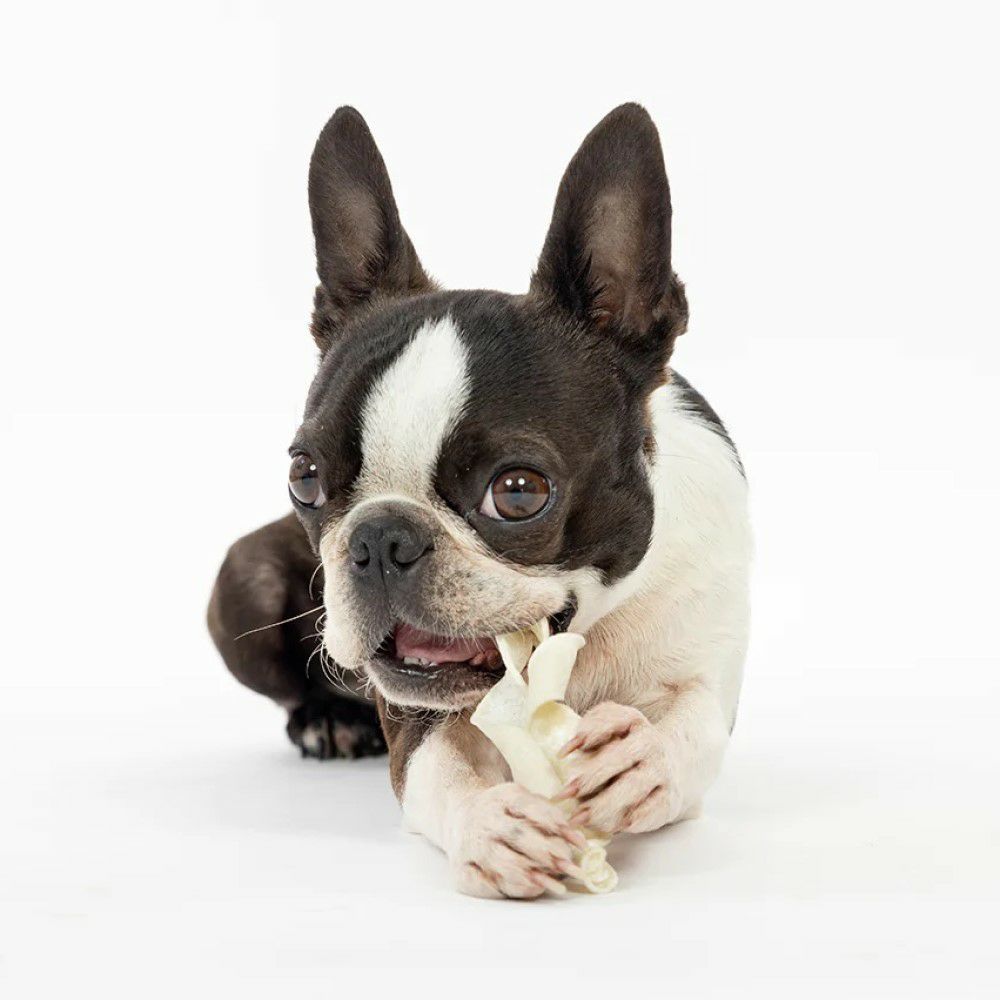 ダッドウェイ FAD 国産牛皮 ツイスト 4本入