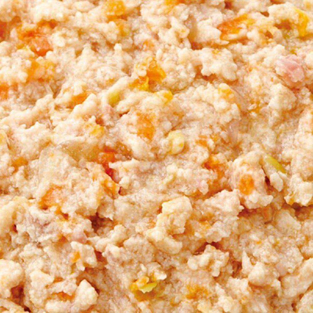 デビフ プリモデビィ シニア犬用 ササミ＆すりおろし野菜 95g