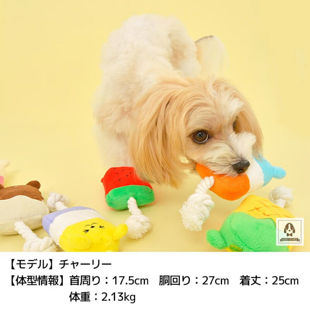 SOLGRA 3色レモンアイスバー