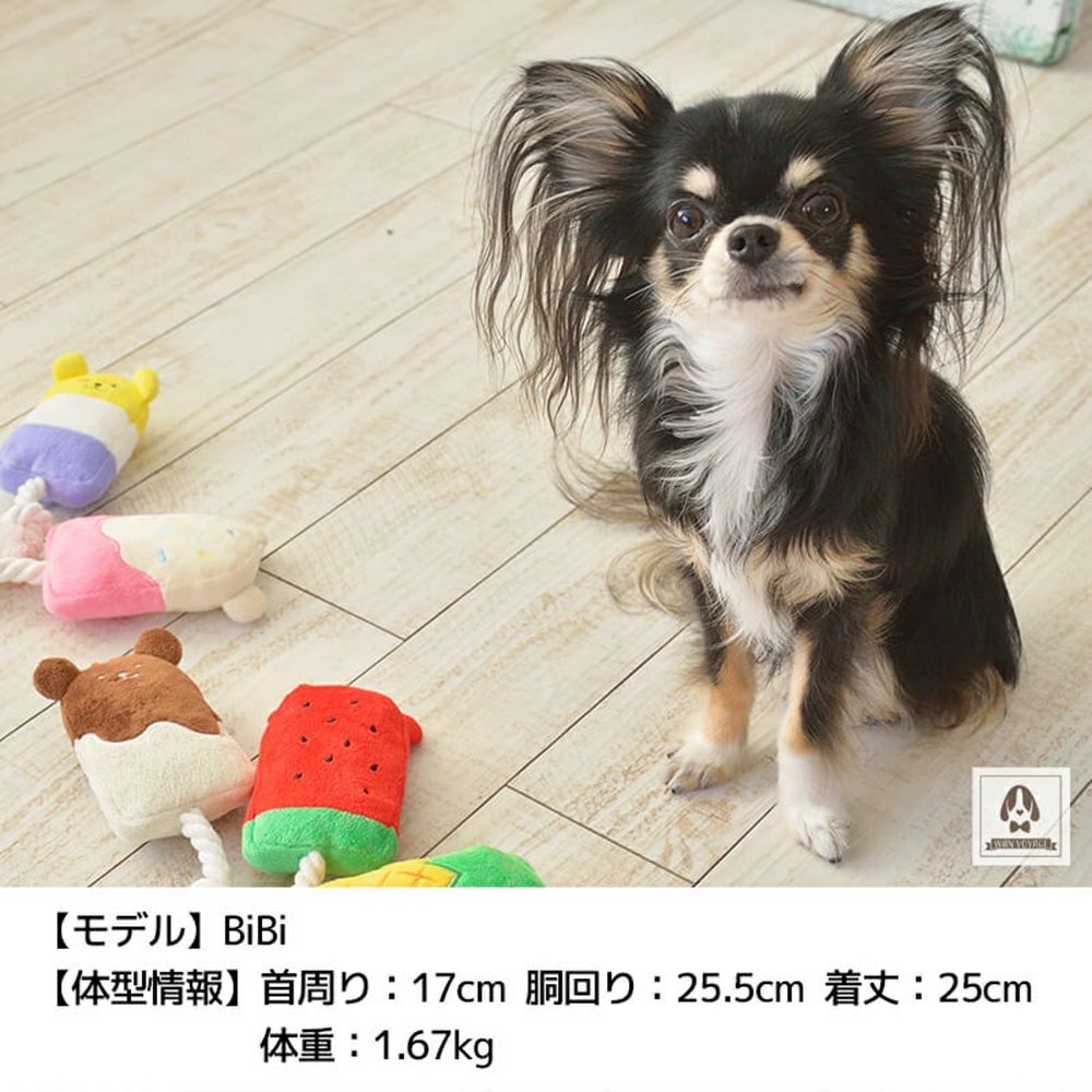 SOLGRA 苺ミルクアイスバー