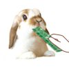 マルカン うさうさぴゅーれ フルーツ青汁 10g×5本入 ML-564