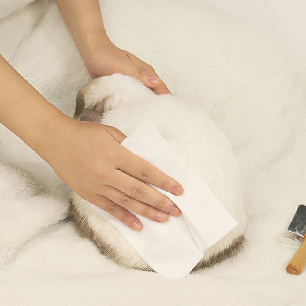 三晃商会 おなやみ解決 ボディタオル 25枚入 D08