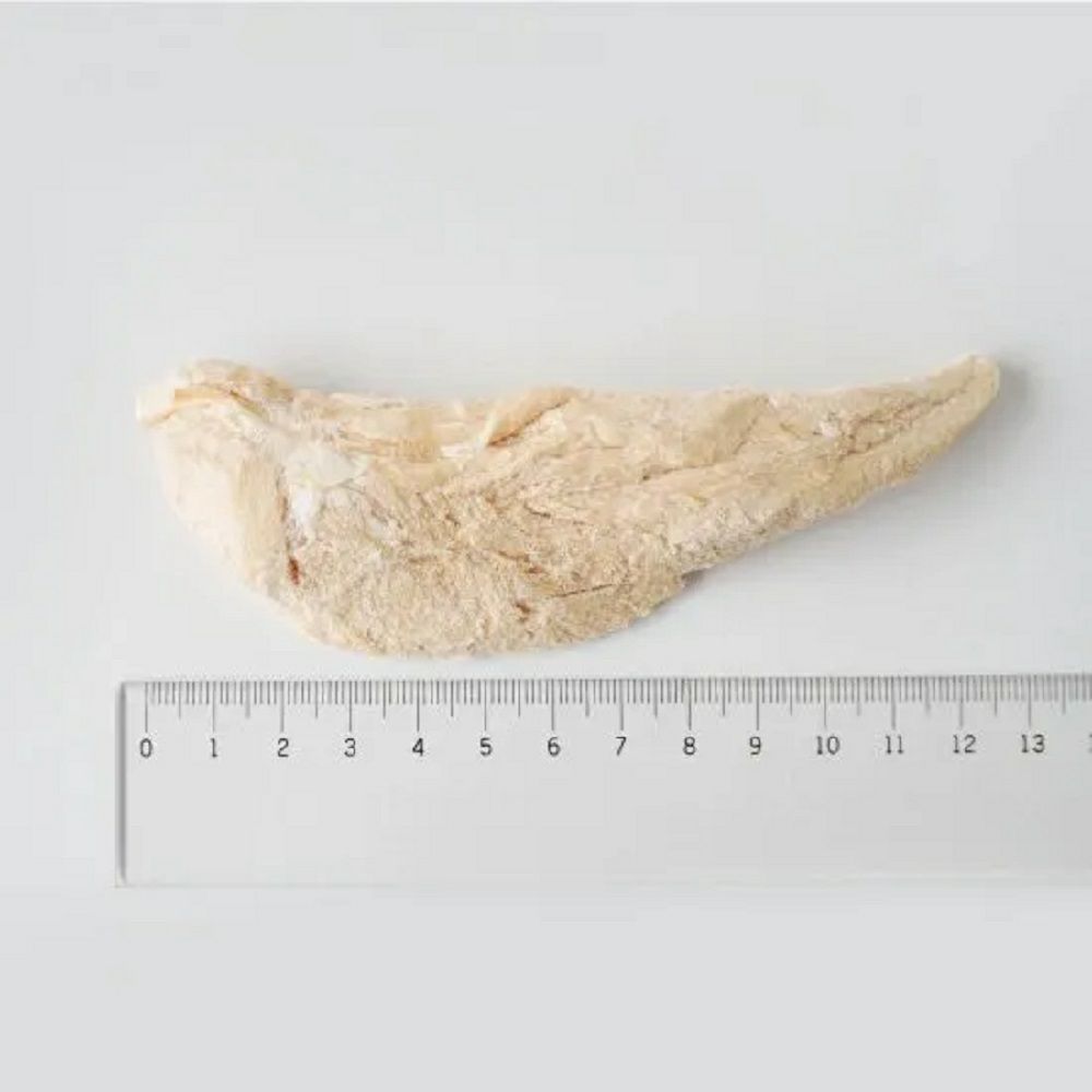 ホワイトフォックス 《愛犬用》 鶏ササミ（ささみ）のフリーズドライ 3本入り（約45g）