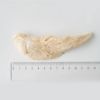 ホワイトフォックス 《愛犬用》 鶏ササミ（ささみ）のフリーズドライ 3本入り（約45g）