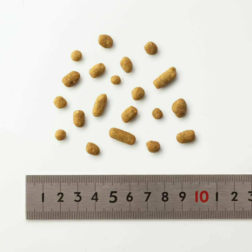 ドットわん 鶏ごはん 500g