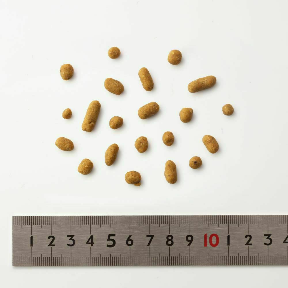 ドットわん 豚ごはん 500g