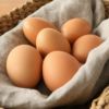 ドットわん 平飼いたまごせんべい 60g