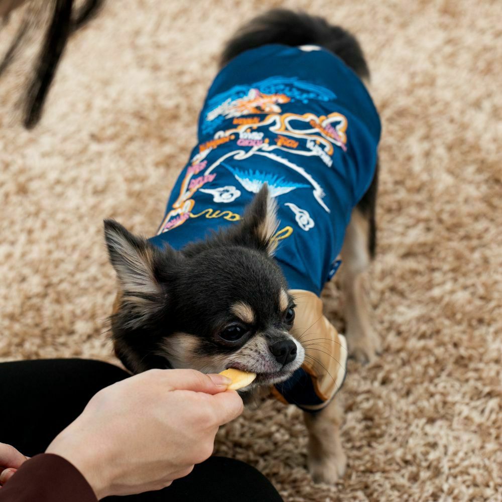 ドットわん 平飼いたまごせんべい 60g
