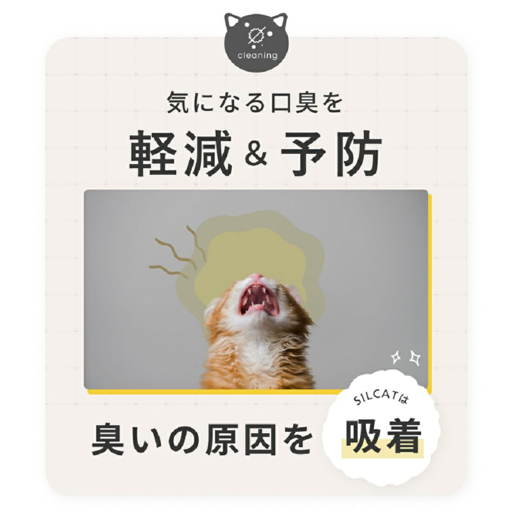 NEXT NEW WORLD 猫用シルクサプリメント シルキャット 3g×7包